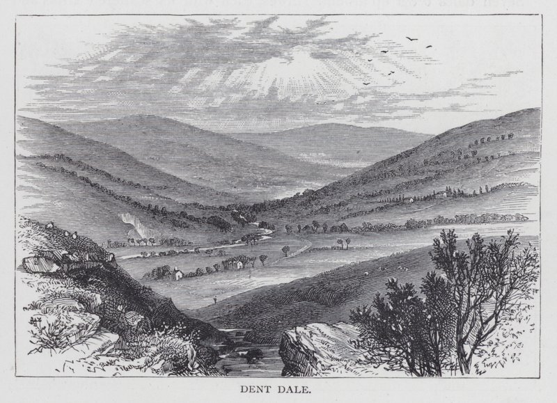 Dent Dale (engraving) 作者 英语学校