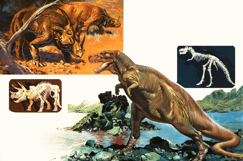 恐龙和骷髅。 Stegasaurus和Tyranosaurus 作者 英语学校
