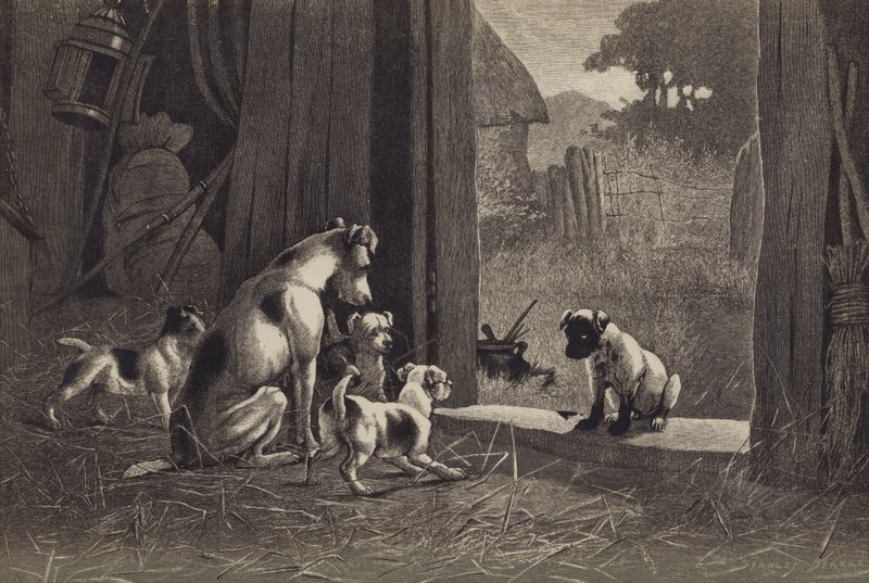 狗 (chromolitho) 作者 英语学校