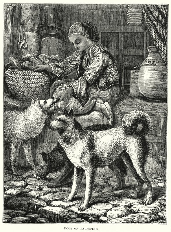 巴勒斯坦的狗（雕版画 作者 英语学校