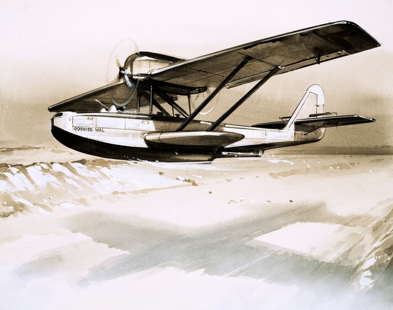 Dornier Wal，双引擎德国飞船 作者 英语学校