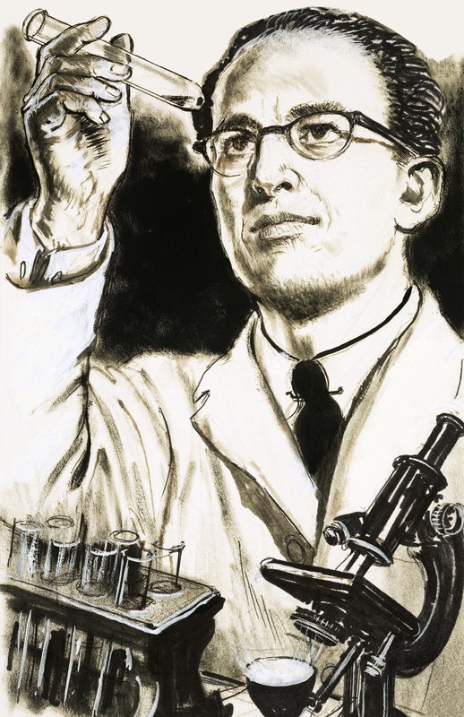 脊髓灰质炎疫苗的创造者Jonas Salk博士看着试管 作者 英语学校