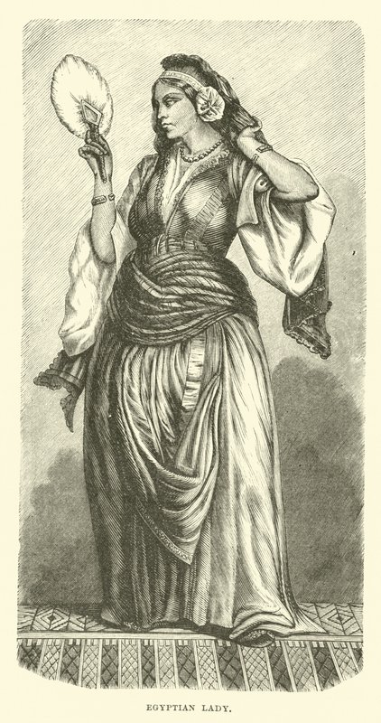 埃及女士 作者 英语学校