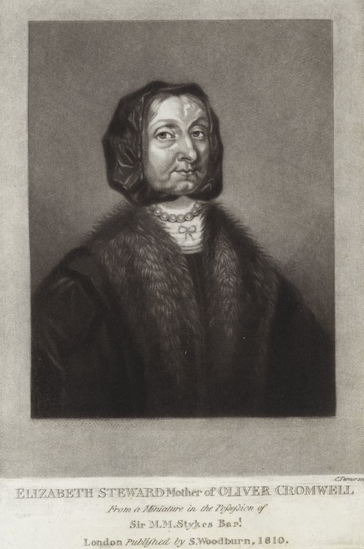 Elizabeth Steward 作者 英语学校