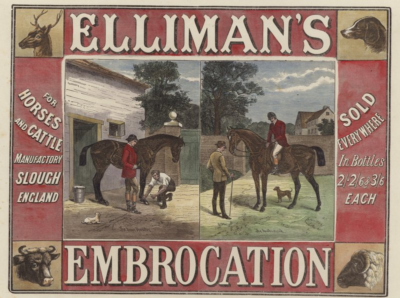 Ellimans Embrocation 作者 英语学校