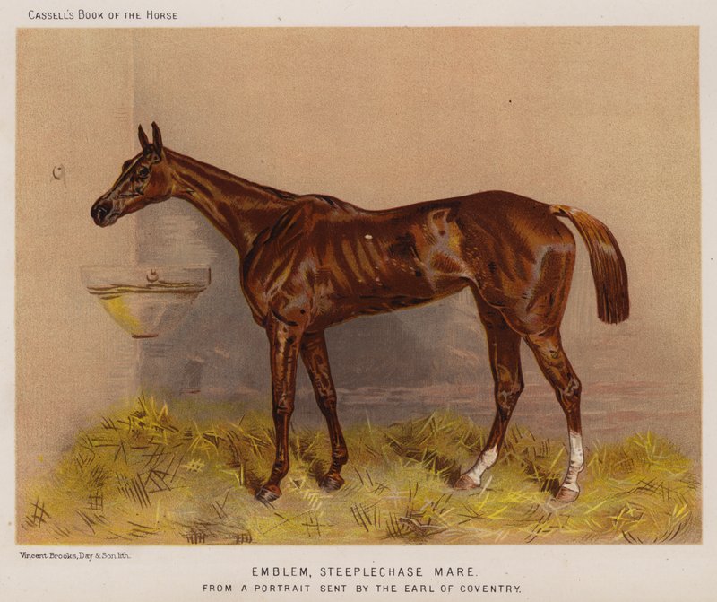 Emblem, Steeplechase Mare (colour litho) 作者 英语学校