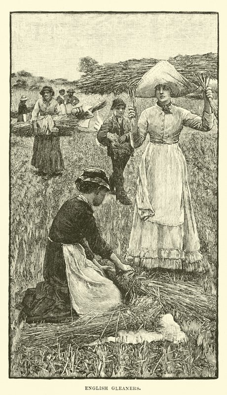 英国的gleaners 作者 英语学校