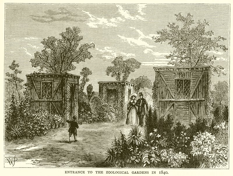 1840年进入动物园 作者 英语学校