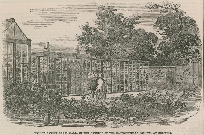 Ewings Patent Glass Wall，位于Chiswick的园艺学会的花园中 作者 英语学校