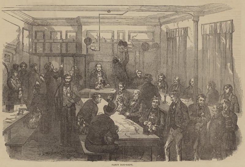 Fancy Dog-Show (engraving) 作者 英语学校