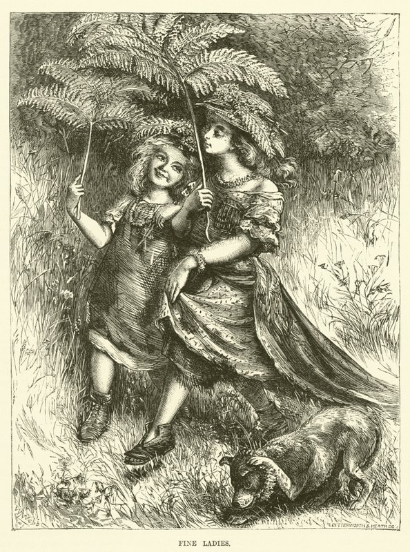 精美的女士们（雕刻 作者 英语学校
