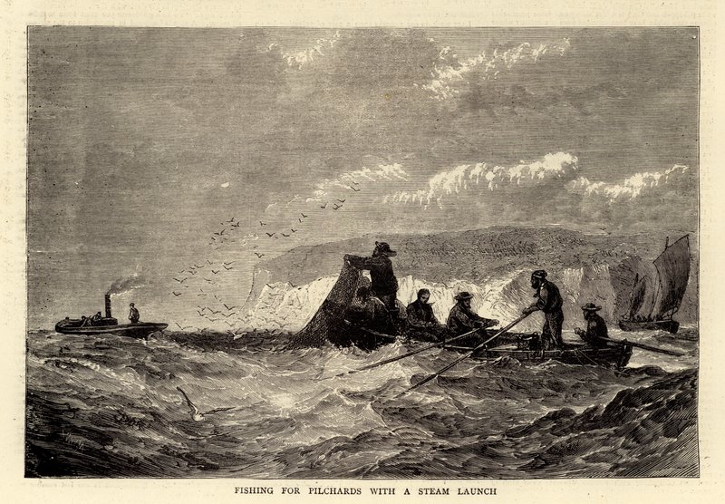 Fishing for Pilchards with a Steam Launch (engraving) 作者 英语学校