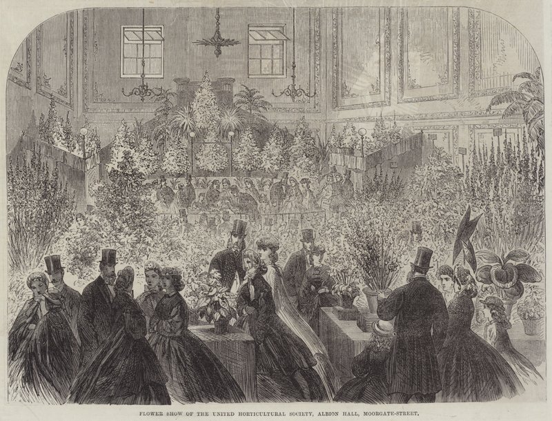 联合园艺学会花展，Albion Hall，Moorgate-Street（雕刻） 作者 英语学校