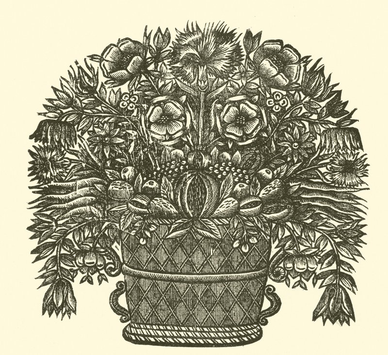 花卉 作者 英语学校