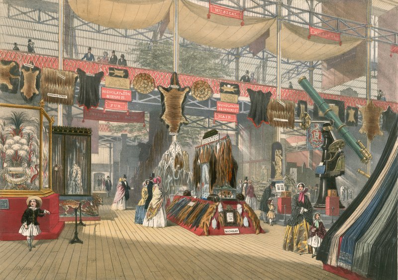 1851年大展的毛皮和毛发部分 作者 英语学校