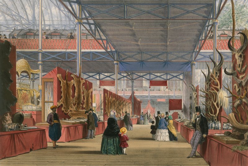 毛皮，1851年的伟大展览 作者 英语学校