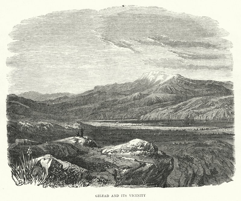 Gilead and its Vicinity (engraving) 作者 英语学校
