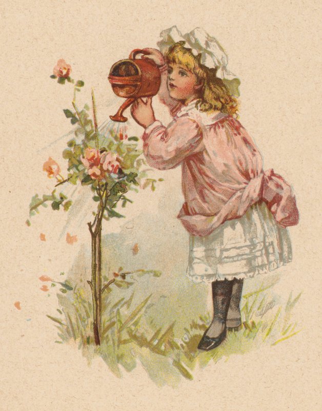 浇灌玫瑰花的女孩(chromolitho) 作者 英语学校
