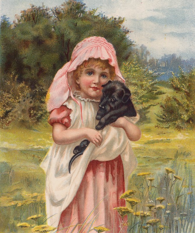 抱着小狗的女孩（chromolitho） 作者 英语学校