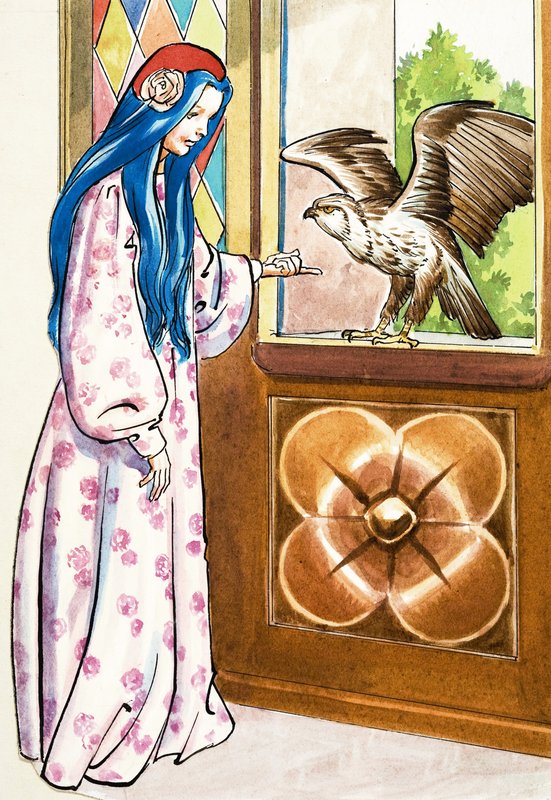 猎鹰的女孩 作者 英语学校
