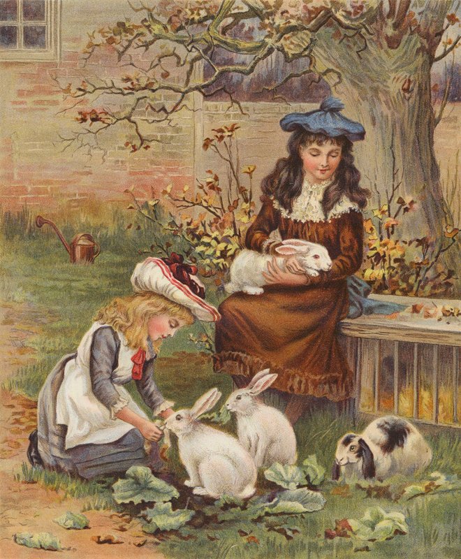照顾宠物兔的女孩（chromolitho） 作者 英语学校