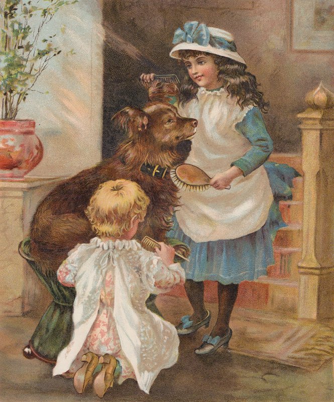 女孩为自己的爱犬梳理毛发 (chromolitho) 作者 英语学校