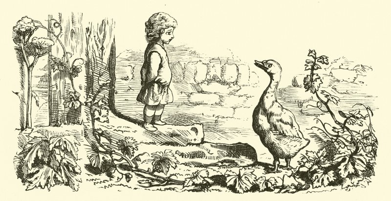 Goosey，goosey gander 作者 英语学校