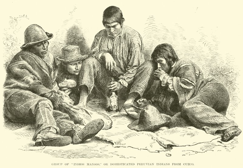 一群Indios Mansos，或来自库斯科的驯化秘鲁印第安人 作者 英语学校