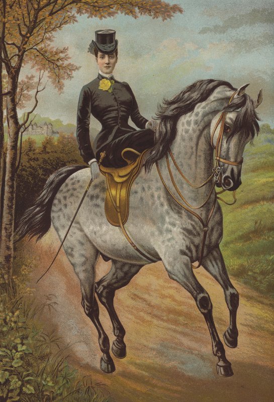 威尔士王妃殿下 (chromolitho) 作者 英语学校
