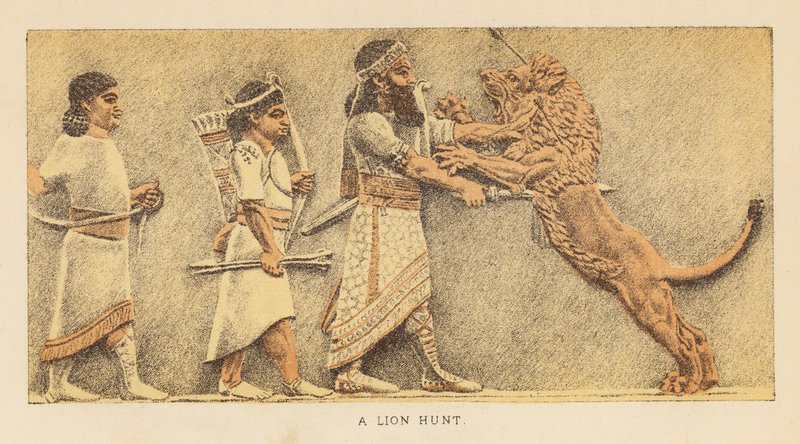 希罗多德：猎狮（彩色石版画） 作者 英语学校