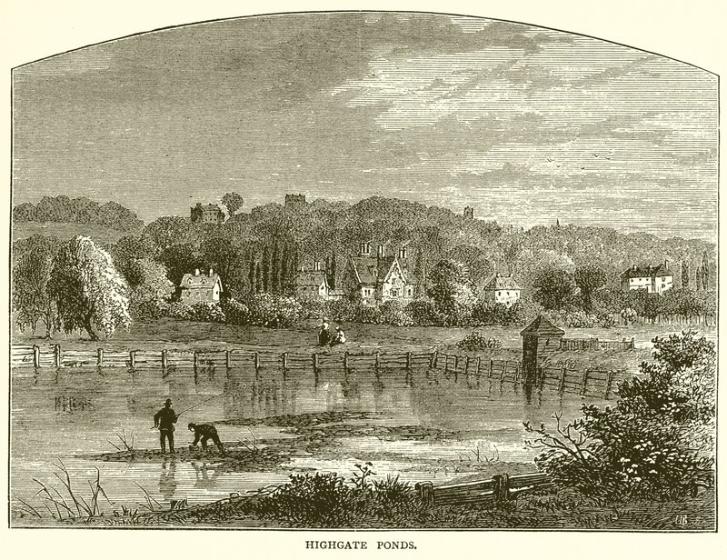 Highgate Ponds 作者 英语学校