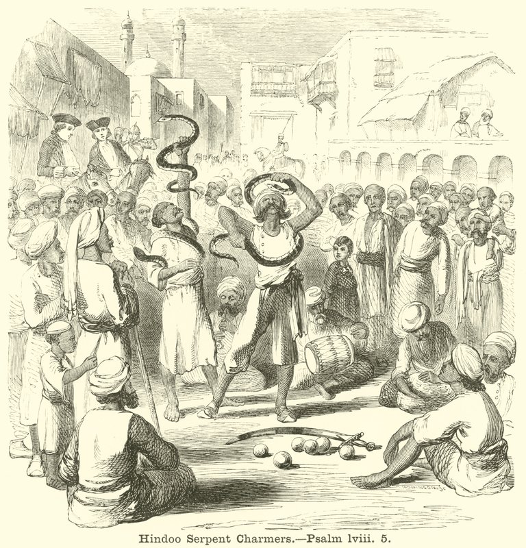 Hindoo Serpent Charmers，诗篇，lviii，5 作者 英语学校