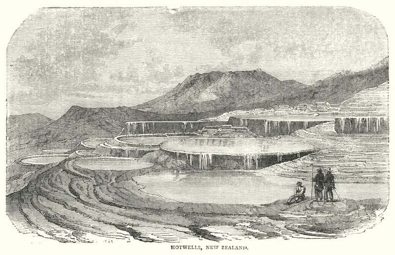 Hotwells, New Zealand (engraving) 作者 英语学校