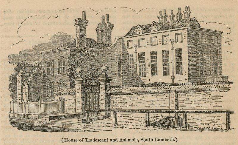 House of of Tradescant和Ashmole，南兰贝斯 作者 英语学校