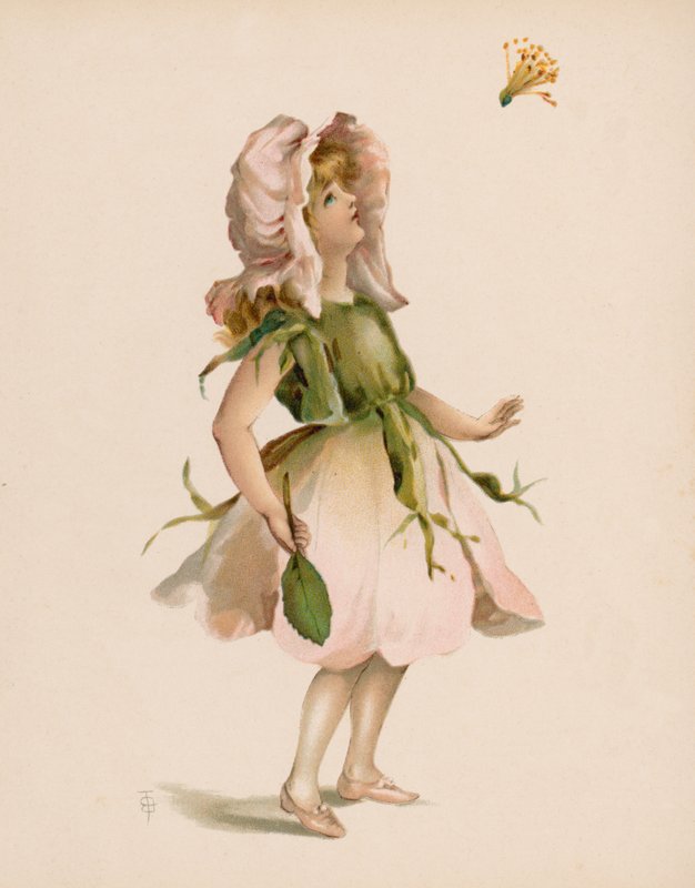 花语插画（chromolitho） 作者 英语学校