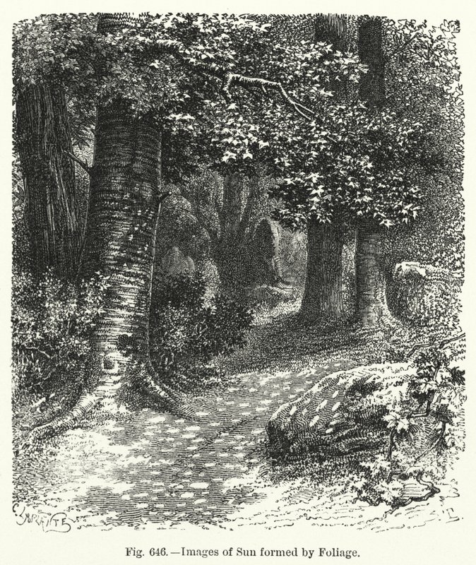 Images of Sun formed by Foliage (engraving) 作者 英语学校