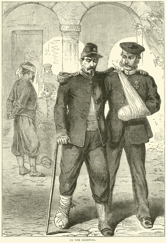 在医院，1870年11月 作者 英语学校
