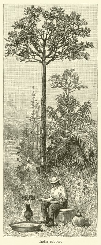 印度橡胶（雕刻） 作者 英语学校