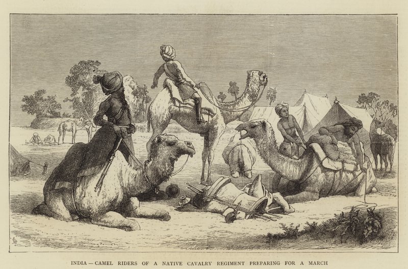 India, Camel Riders of a Native Cavalry Regiment preparing for a March (engraving) 作者 英语学校