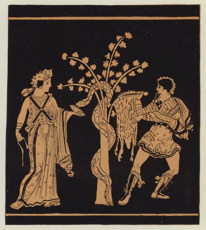 杰森在美狄亚的帮助下拿走了金羊毛（彩色石版画） 作者 英语学校
