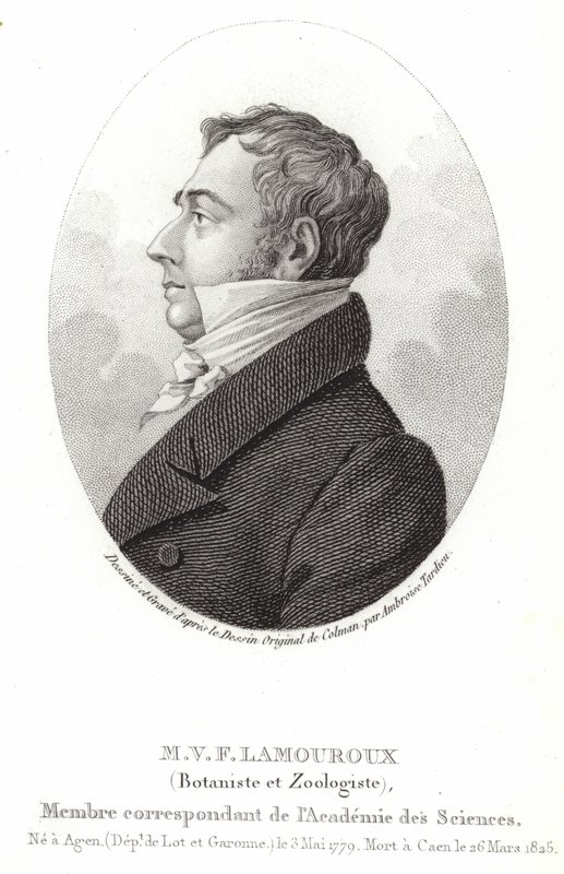 JeanVincentFélixLamouroux 作者 英语学校