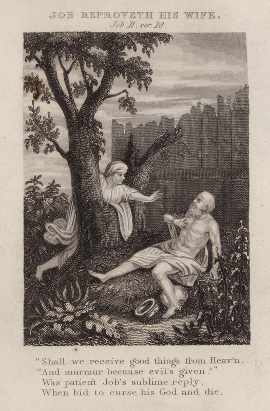 Job reproveth his wife, Job II, ver 10 (engraving) 作者 英语学校