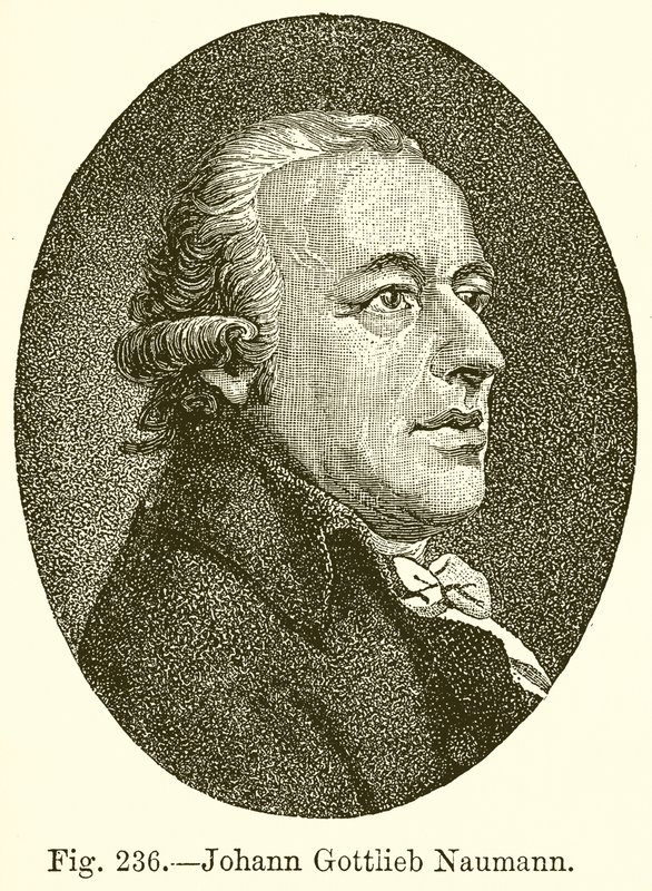Johann Gottlieb Naumann 作者 英语学校