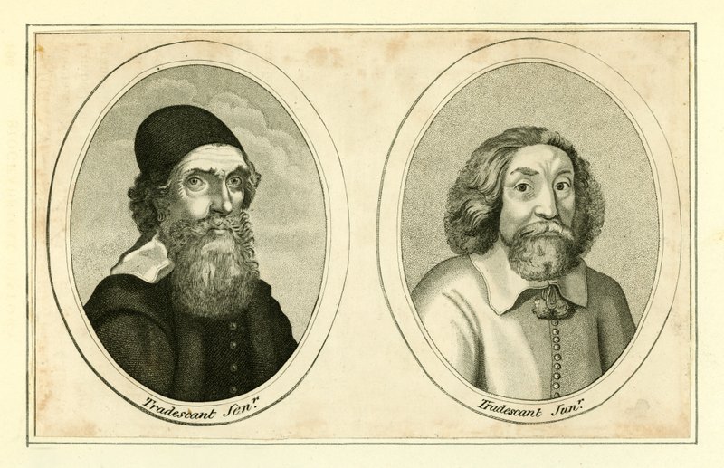 John Tradescant，高级和初级 作者 英语学校