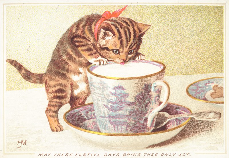 喝在茶杯外面的小猫，圣诞卡 作者 英语学校