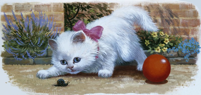 与蜗牛和球的小猫 作者 英语学校
