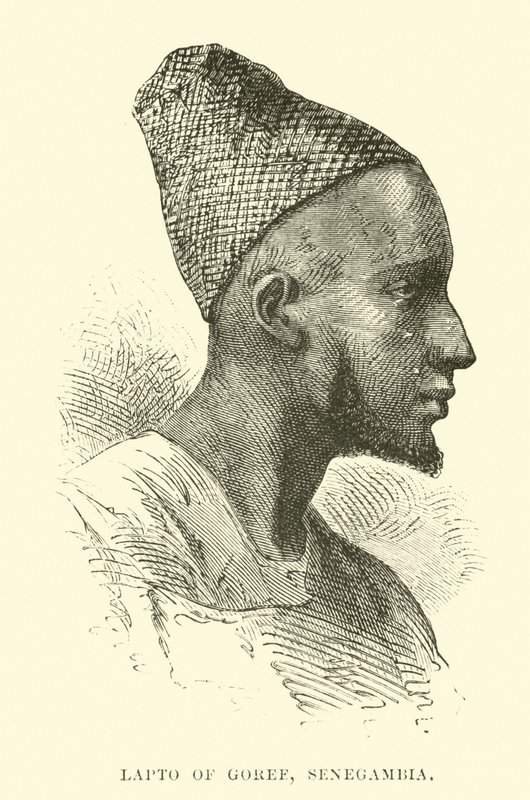 Lareto of Goree，Senegambia 作者 英语学校