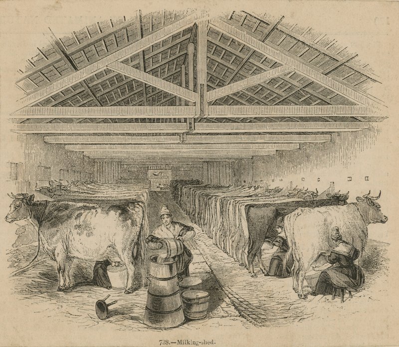 Laycocks Dairy Farm，日期为1841年7月 作者 英语学校