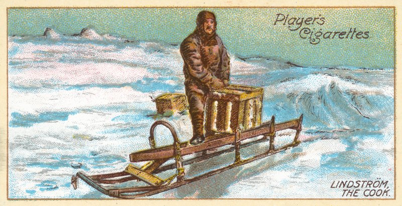 库克的林德斯特姆（chromolitho）。 作者 英语学校