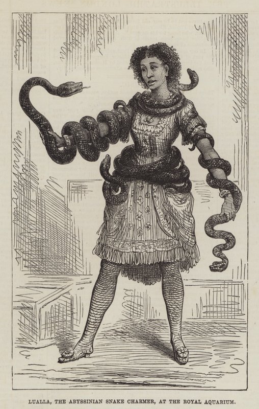 Lualla，阿比西尼亚耍蛇人，在皇家水族馆（雕刻） 作者 英语学校